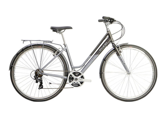 Raleigh 2021 Pioneer Low Step Hybrid Bike